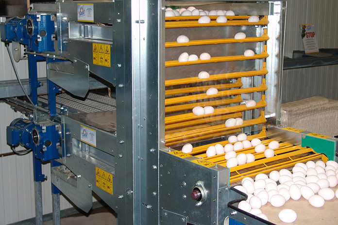 Jansen Poultry Equipment MultiFlex Elevator