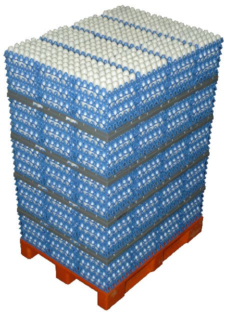 Eggs Cargo 