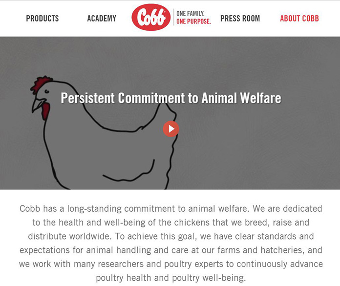 The new website