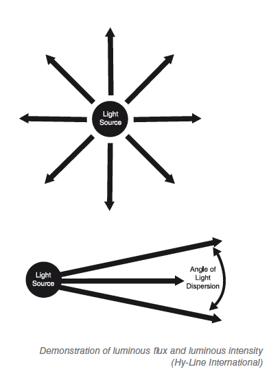 Light intensity measurement Led lights