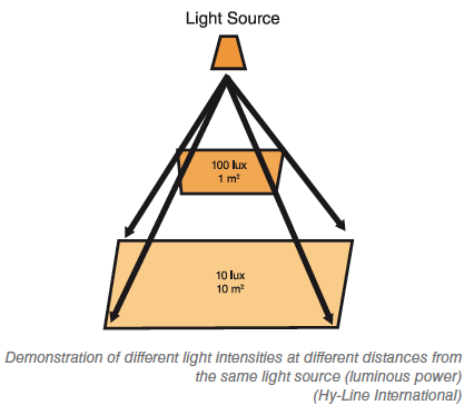 Light intensity measurement Led lights