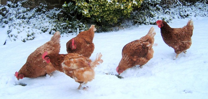 Cold Weather Management Cold Weather Management