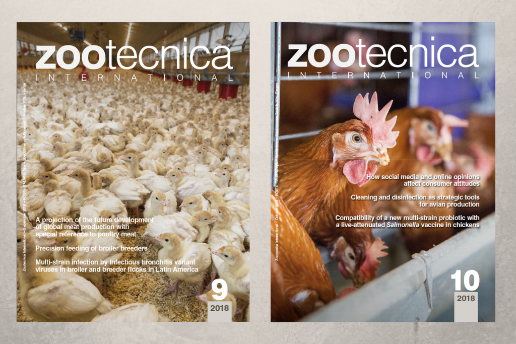 Salmoneloses - aviNews, the global poultry magazine