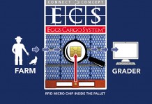 Eggs Cargo System® introduces the next revolution