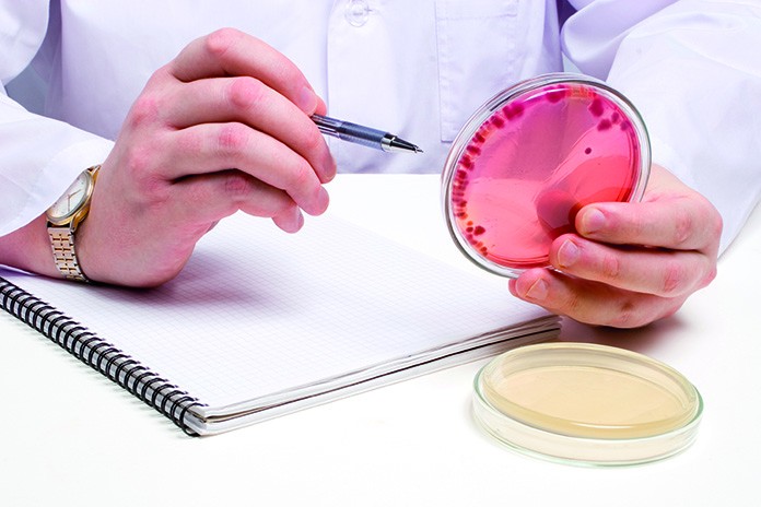 Microbiologist at work