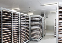 Physiological zero in hatchery management