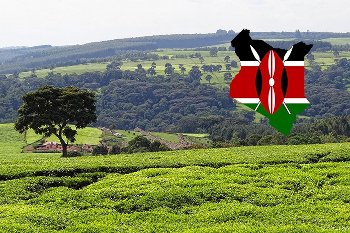 Image result for kenya