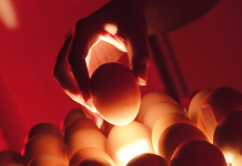 The impact of raised incubation temperature on hatch, chick quality and broiler performance