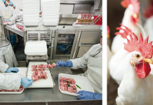 Spatial shifts in global chicken meat production between 1993 and 2013