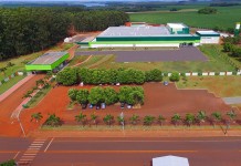 Brazil welcomes 85 million Petersime Easter chicks