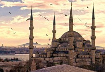 VIV Turkey 2017 – Innovative poultry production and processing from feed to meat