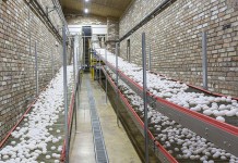 Poultry farm Zarja in the eastern part of Siberia