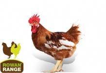 Aviagen names Claudio Ambrogio Business Manager for Rowan Range in Europe