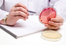 The Salmonella initiative