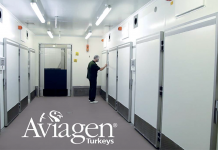 SPIDES, short periods of incubation during egg storage