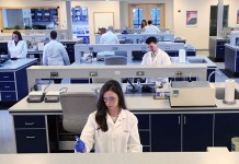 Practical applications of nutrigenomics in poultry nutrition