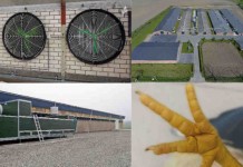 Climate optimisation in poultry houses improve bird performance