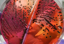 Ability to detect Salmonella vs. Salmonella-Free in poultry processing