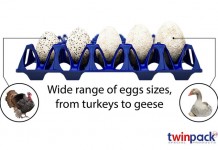 ECS introduces a new tray for turkey, duck and geese eggs