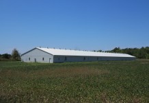 Update on Infectious Bronchitis in the United States