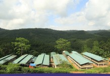 A new hatchery in Sri Lanka with Pas Reform SmartPro™