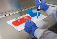 Increasing standardization in real-time PCR diagnostics