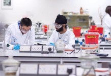 A new view of how class I molecules fight diseases