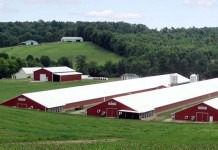 Exterior and interior strategies for rodent control