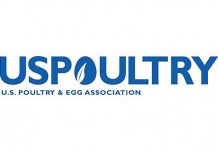 Successful Hatchery-Breeder management is all in the details