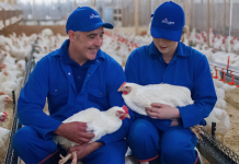 Aviagen demonstrates commitment to the poultry industry at VIV Europe 2018