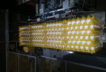 Easy transport for eggs with Arion Fasoli’s dividers