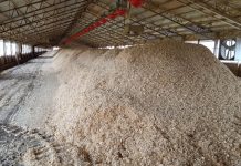 Methods for recovery and quantitation of viral nucleic acids from broiler litter