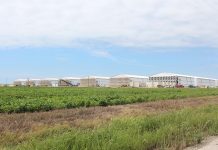 The USA on their way to cage-free egg production