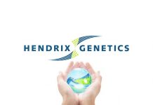 Top management changes to realize future ambitious plans at Hendrix Genetics