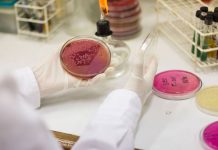 Salmonella, creating the most undesirable environment