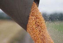 Improving feeding efficiency with innovating products