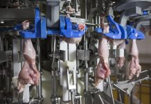 Stork inline thigh filleting up to high capacities