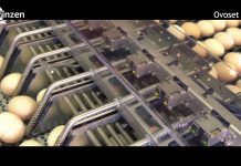 Ovoset Pro: A gentle workhorse