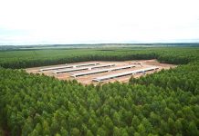 Cobb Global Planning Project safeguards global poultry supply