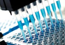 Poultry expertise at IDEXX