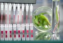 Alternatives to antibiotics in organic poultry