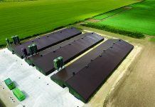 The bioavailability of zinc in poultry: what does literature say?