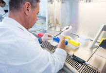 Infectious Bursal Disease antibody levels and viral load in commercial broiler chickens