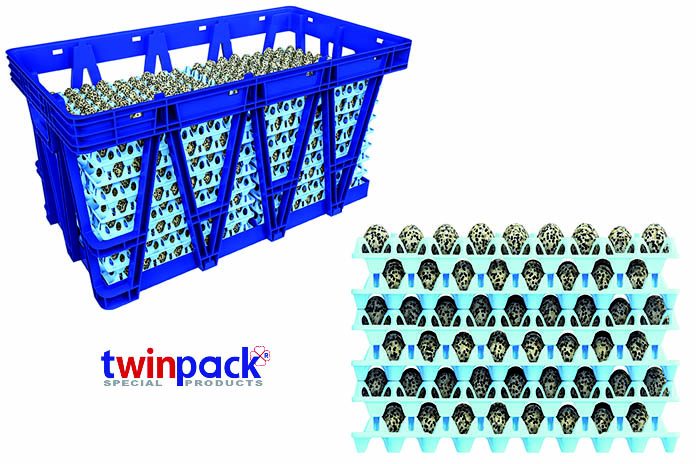 Quail Trays + eggs + Linda