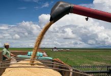 Crop stress in Argentina