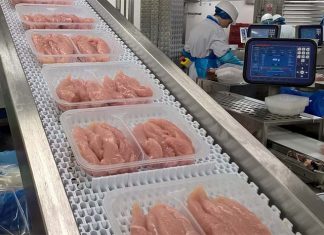 UK suspends certain argentine poultry imports following HPAI outbreak