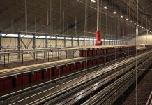 “Alta Tuscia” new  laying hens farm in Italy