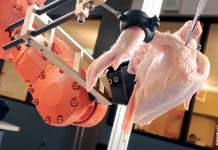 Patterns of EU poultry trade – A 2016 status report