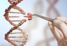 Pirbright research to boost vaccine production