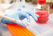 Collaborative regulatory approach can reduce antibiotic use in animal production